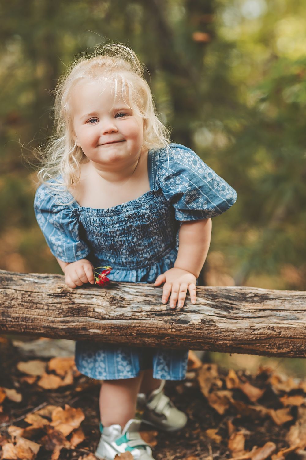Asheville Family Photography - Izabella 2 year Portraits - Katy Cook  Photography, image size:1000x1500