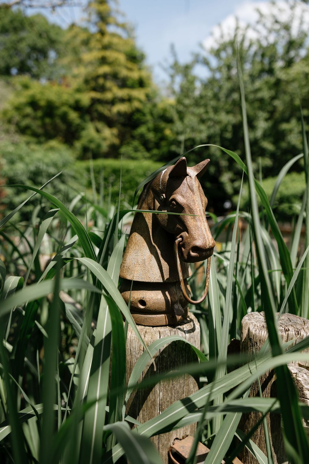 Rustic wooden horse sculptures peek through tall green grass in a garden setting, creating a whimsical outdoor display.