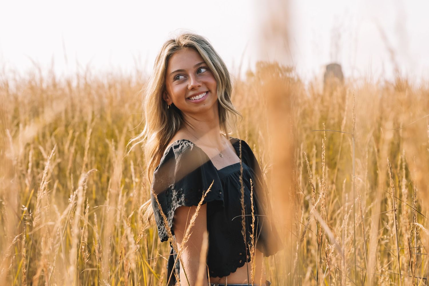 Graduation portrait session in the Manassas, Virginia - beautiful tall grass field | Senior photos by Alina Phillips Photography.