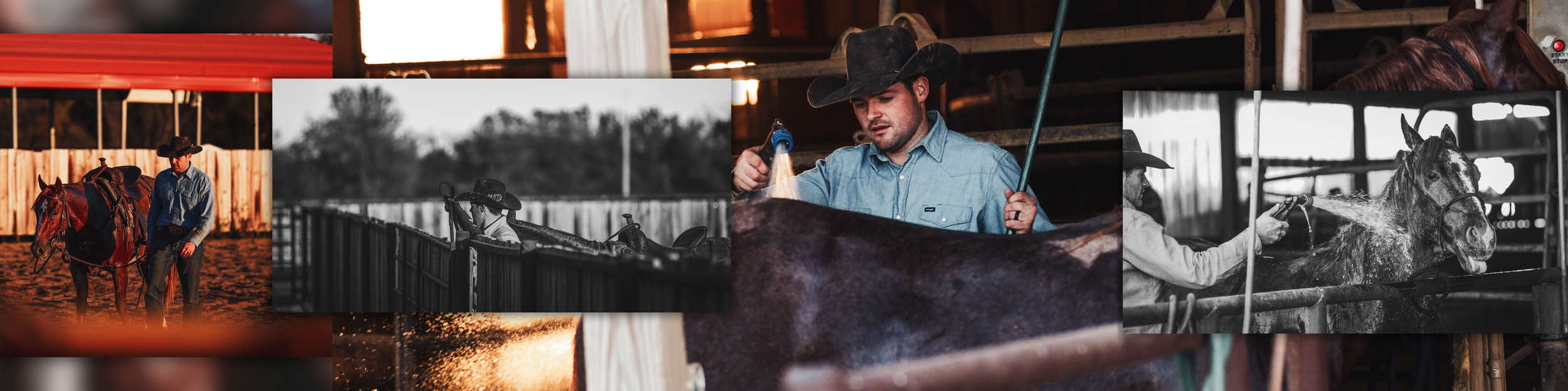IOWA WESTERN EQUINE PHOTOGRAPHER