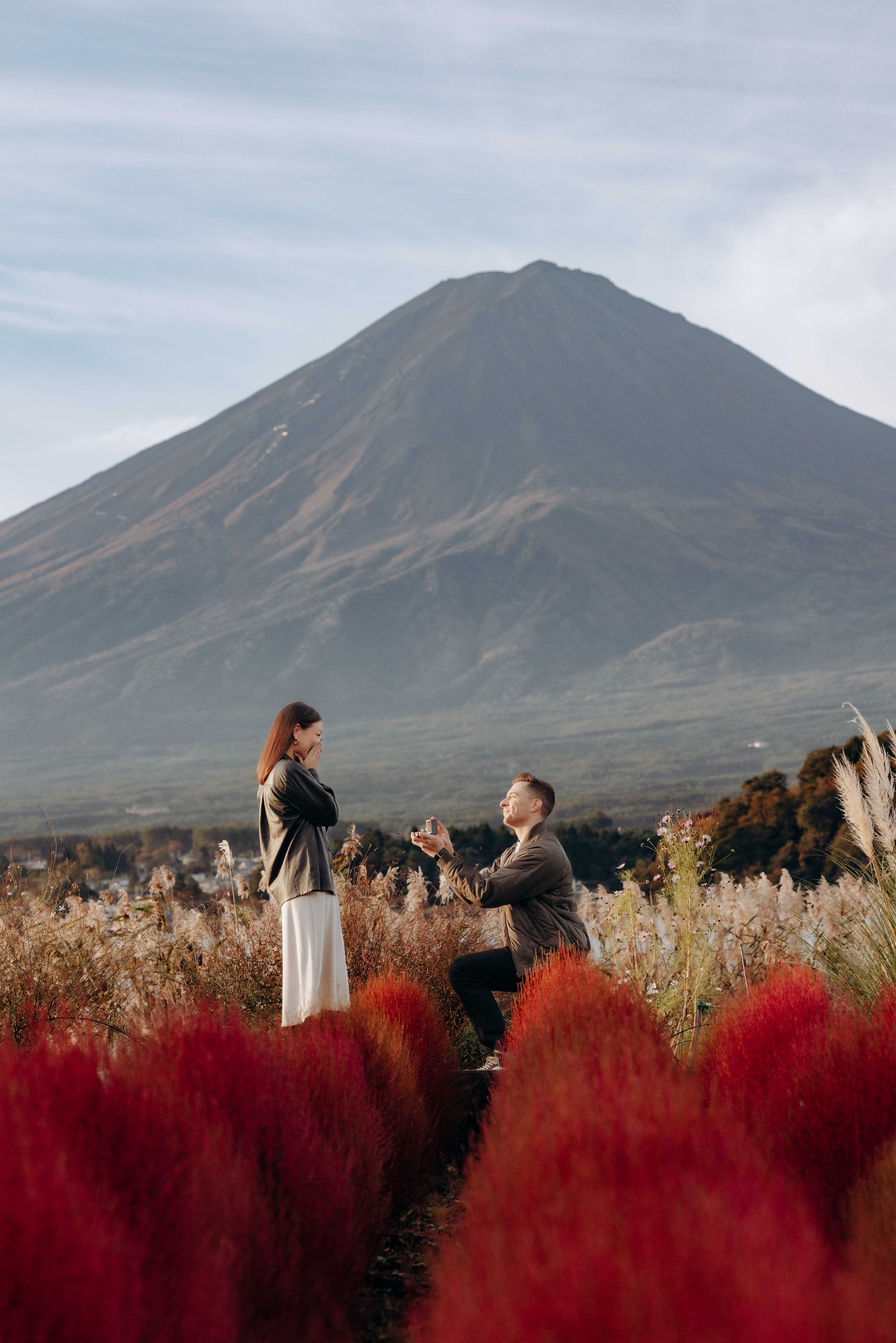 A proposal moment captured against a majestic Mount Fuji backdrop with vibrant red kochia bushes in the foreground.