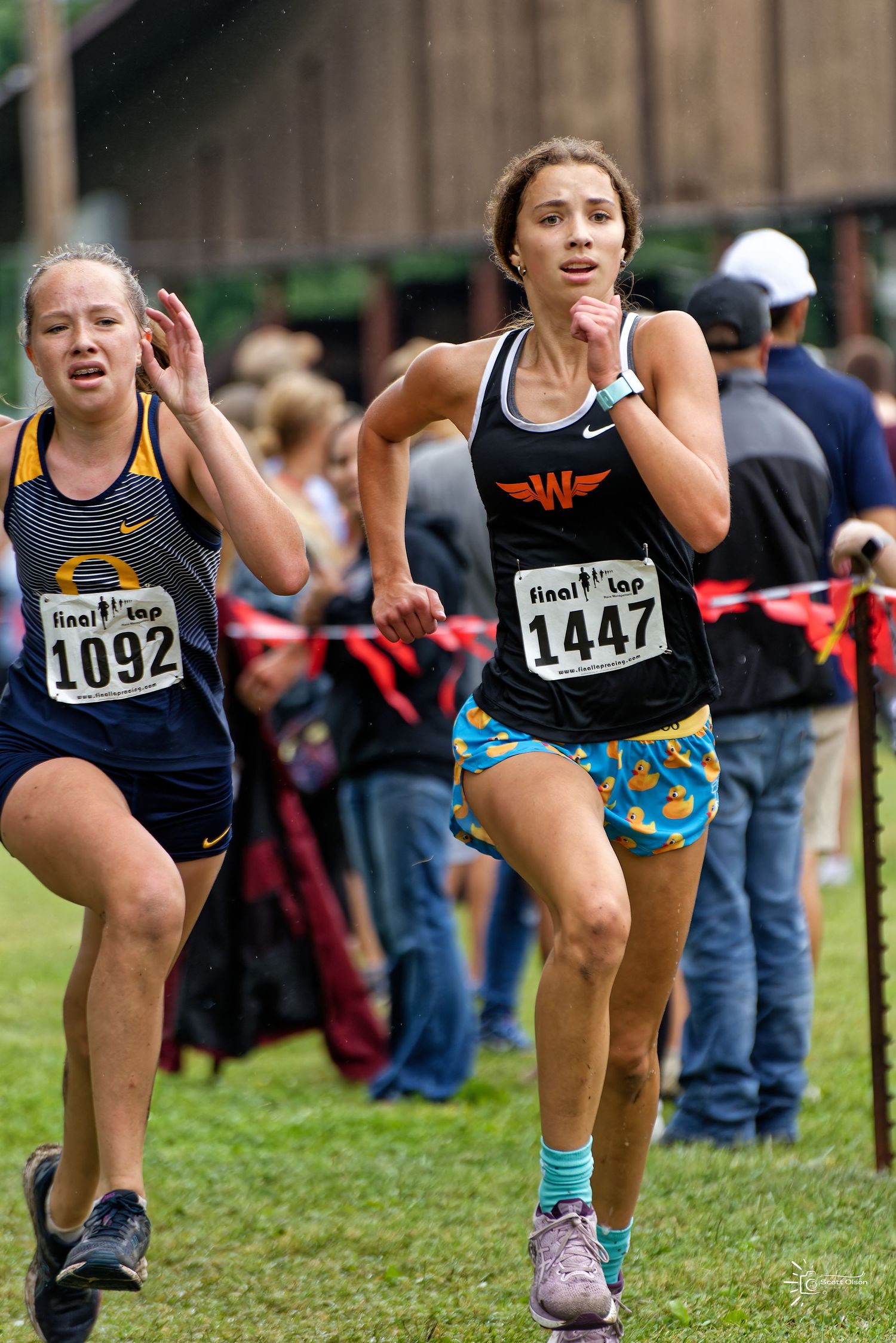 Two runners compete in a cross country race wearing numbered bibs and colorful athletic gear on a grassy course.