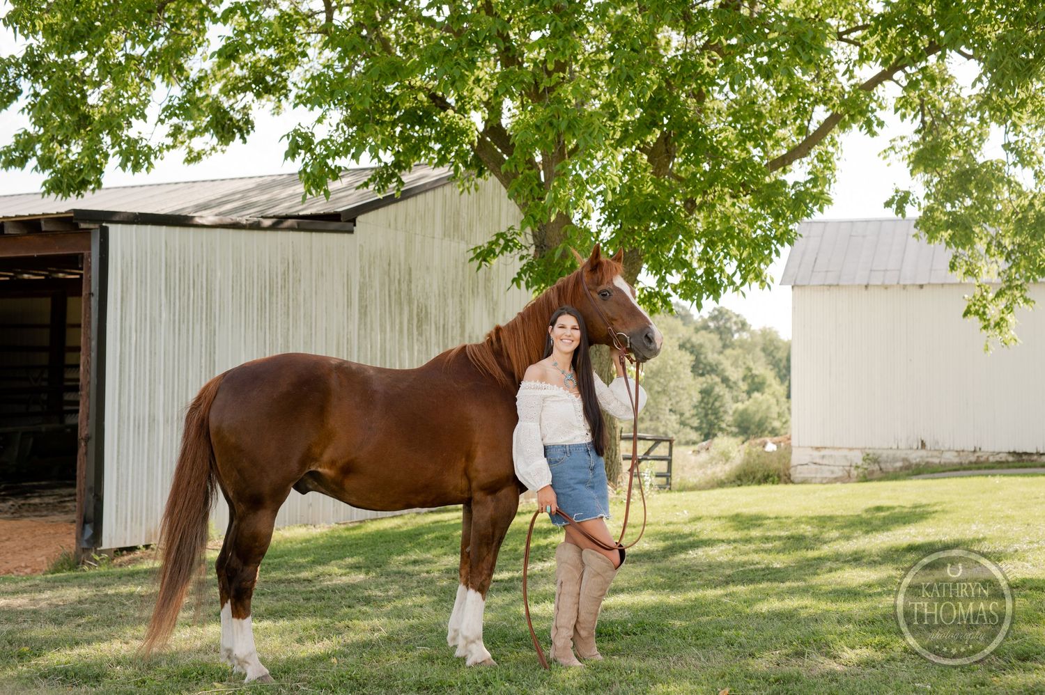 Beautiful brown horse with white socks stands beside a barn beneath leafy green trees.