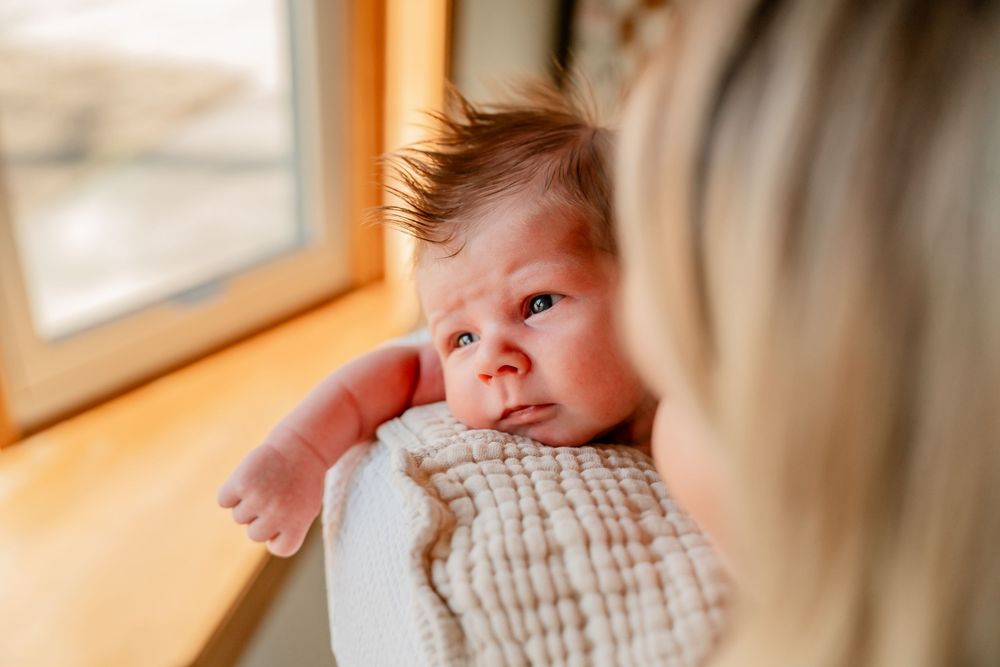 A baby in a plaid shirt looks up while sitting near a window with natural light streaming in.