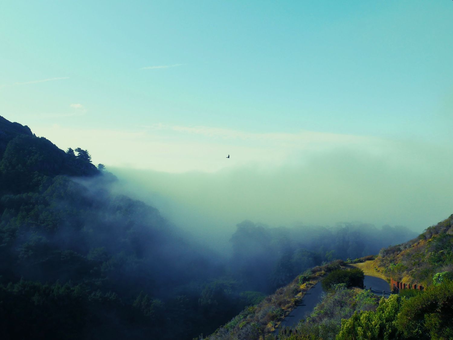 Scenic mountain landscape view with misty blue sky and rolling hills in the distance.