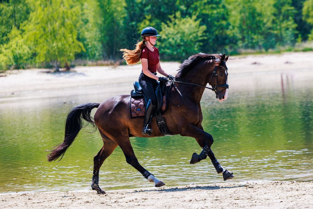 A rider gallops on a dark brown horse along a scenic lake shore with green trees in the background.