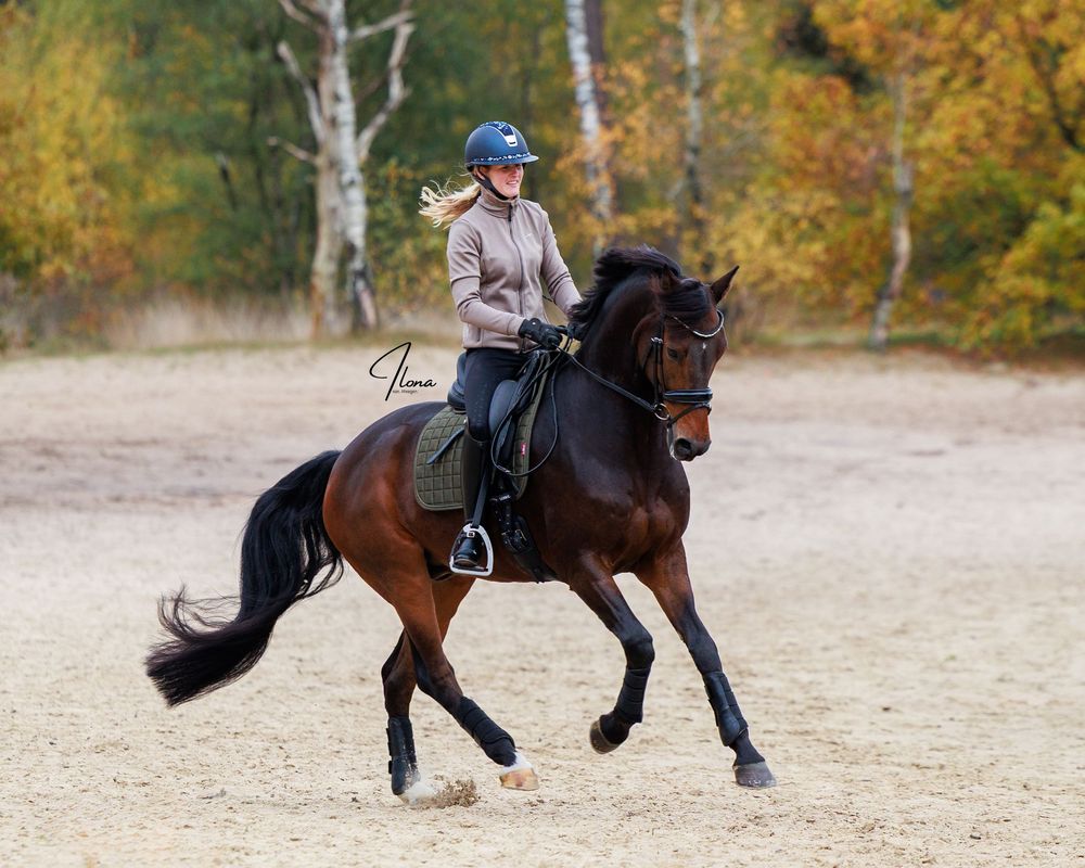 A rider guides a brown horse through a series of dressage movements in an outdoor arena during autumn.