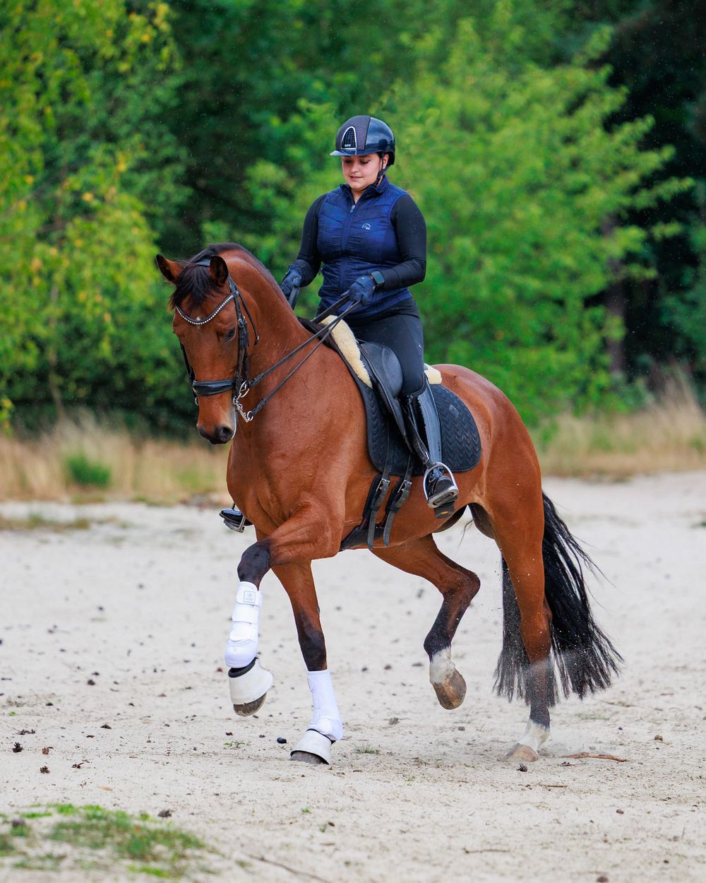A sequence of dressage movements showing a chestnut horse and rider performing lateral work in an outdoor arena.
