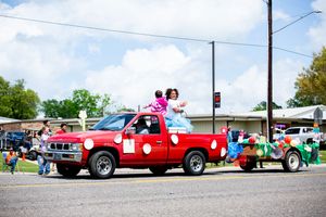 Long line of vintage cars and trucks displayed at a community car show.
