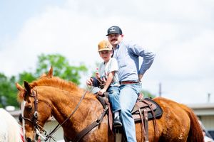 Brown horses with riders participating in an equestrian event.