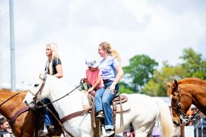 Riders on horseback participating in an equestrian parade or show.