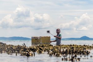 Siargao Surf Photographer, Surfing Photo and Video Sessions. Real Estate, Food, Products, Lifestyle. Postcards. Prints. Photo Stock, Siargao