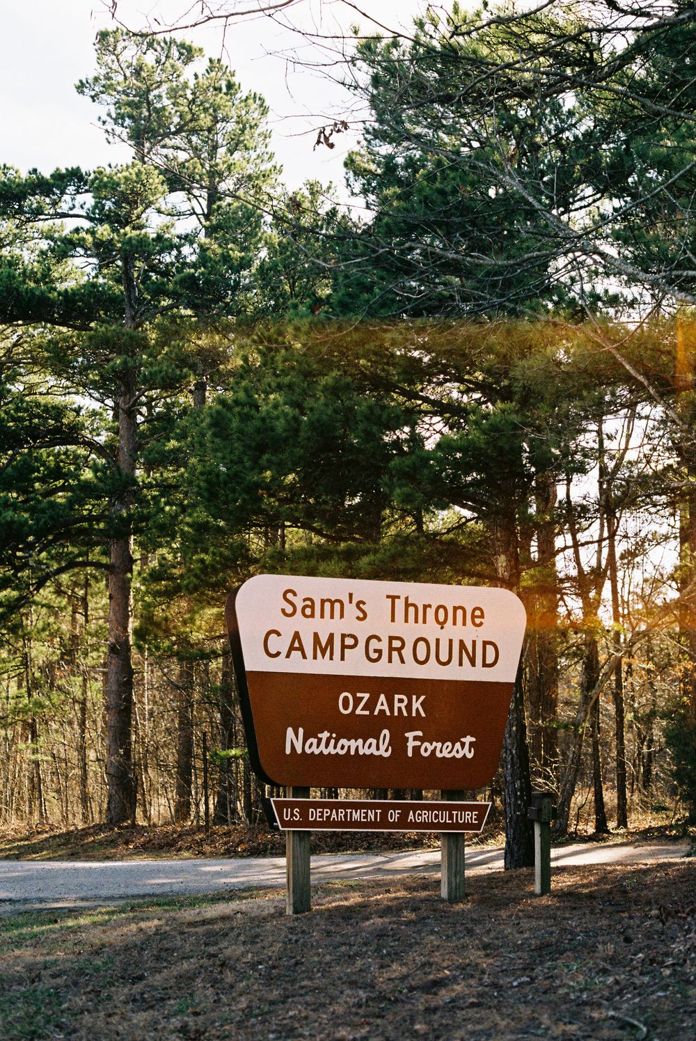 sams throne elopement on 35mm film