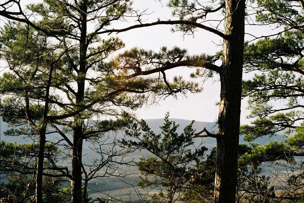 arkansas elopement on 35mm film