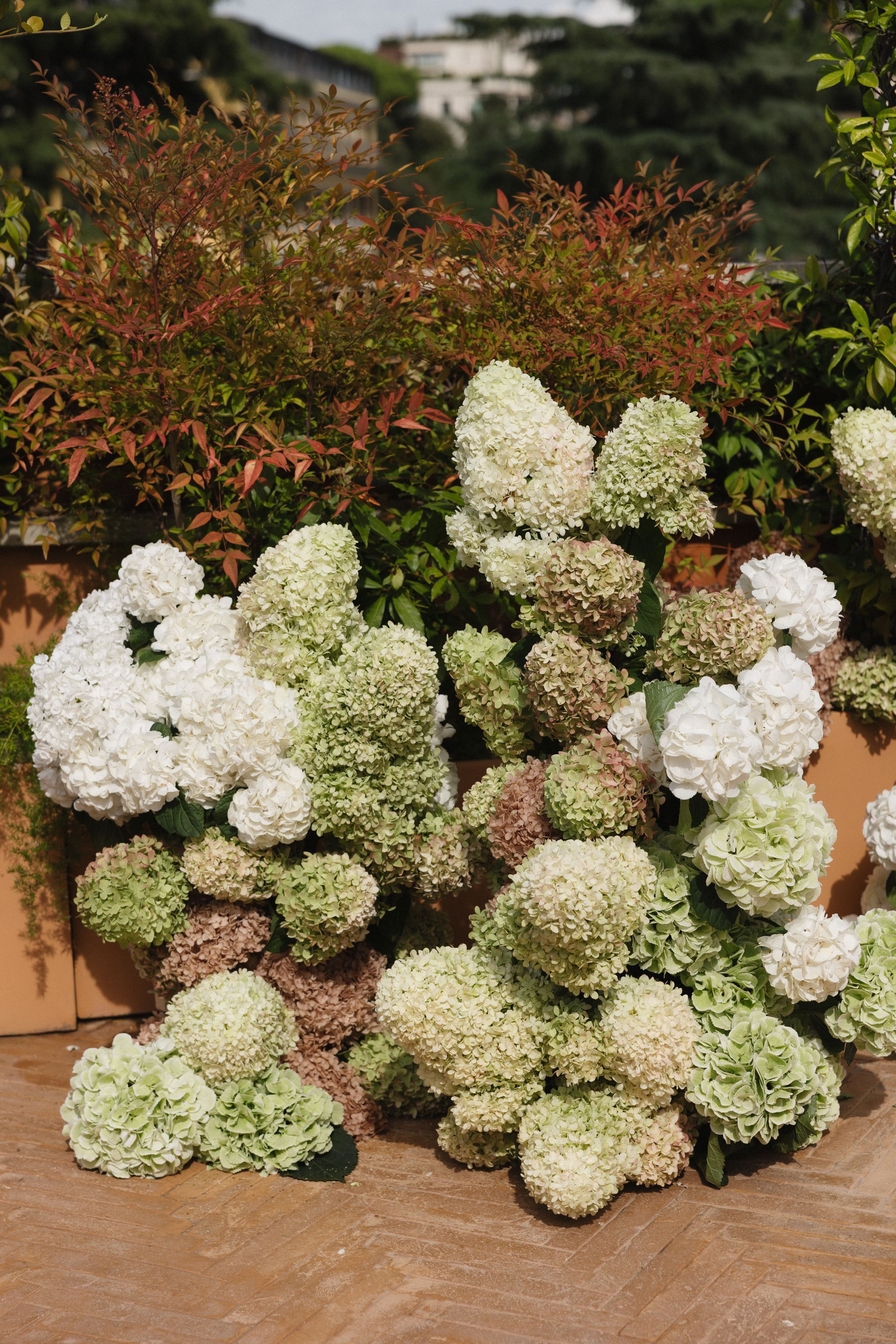Fresh white and pale green hydrangea blooms arranged on a terracotta surface with red foliage in the background.