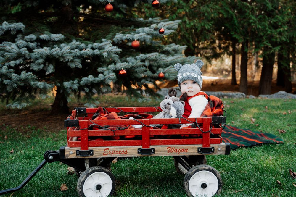 A bright red vintage Radio Flyer wagon sits on green grass with evergreen trees and decorative outdoor Christmas lighting.