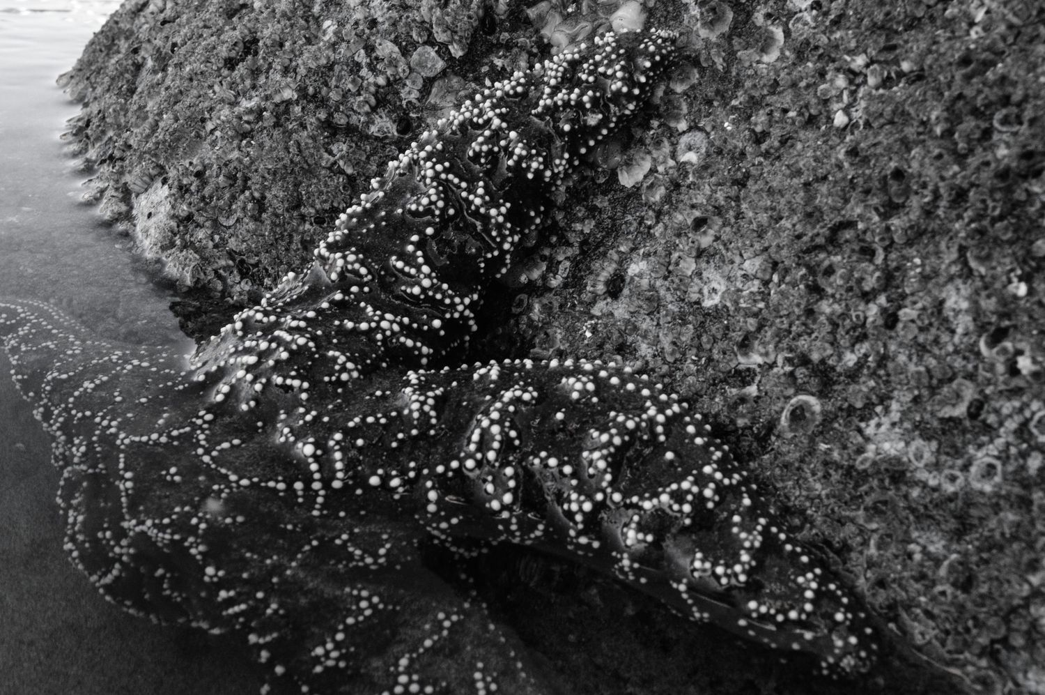 Newport, OR