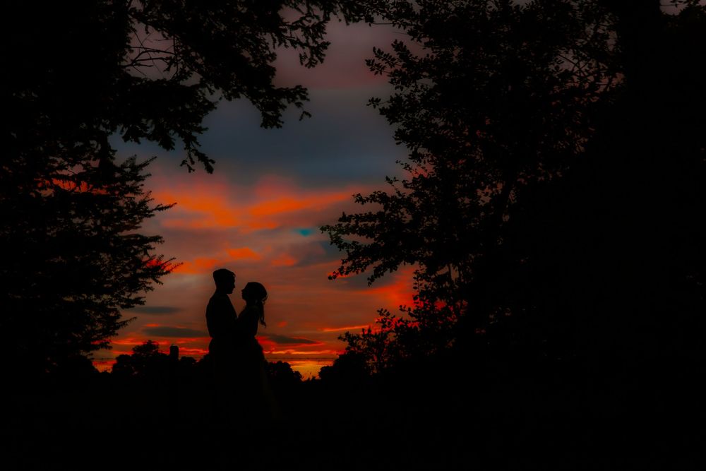 Silhouettes of tree branches against a vibrant orange and purple sunset sky create a dramatic natural backdrop.
