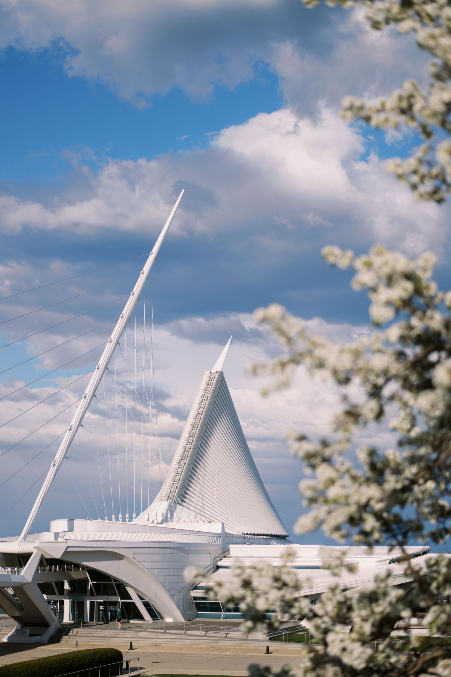The Milwaukee Art Museum's distinctive white architectural wings rise against a blue sky with spring blossoms in frame.