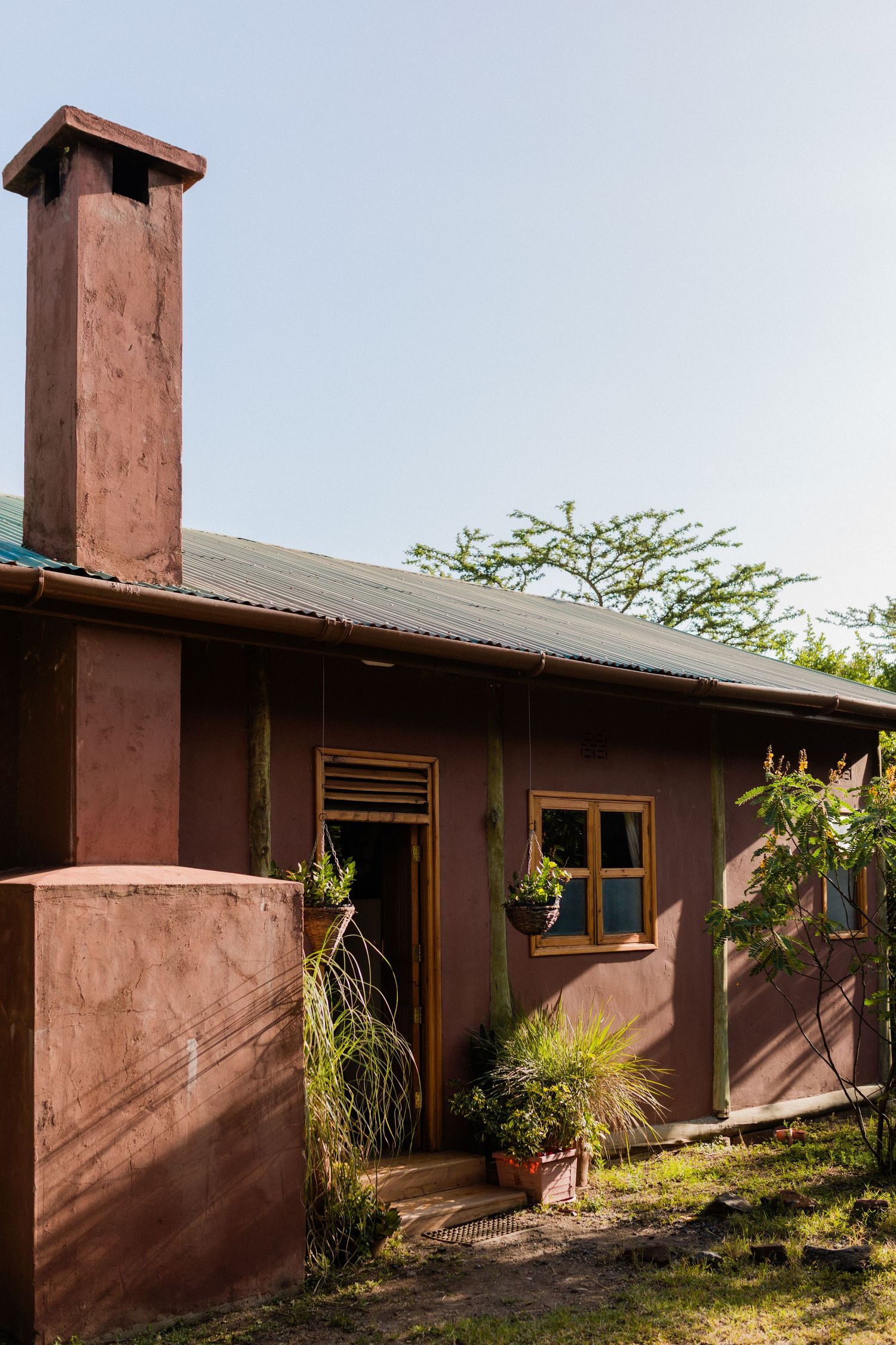 Rustic pink adobe house with chimney, wooden window frames, potted plants, and corrugated metal roof surrounded by greenery.