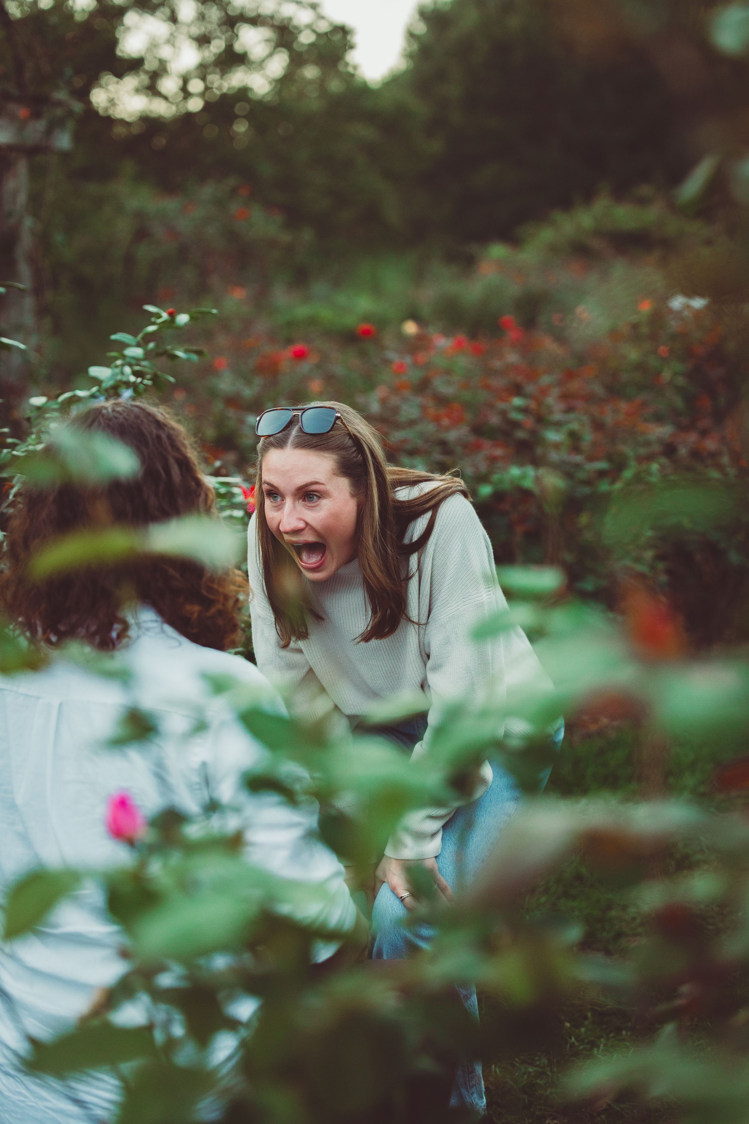 Arlington VA proposal photography with blooming roses