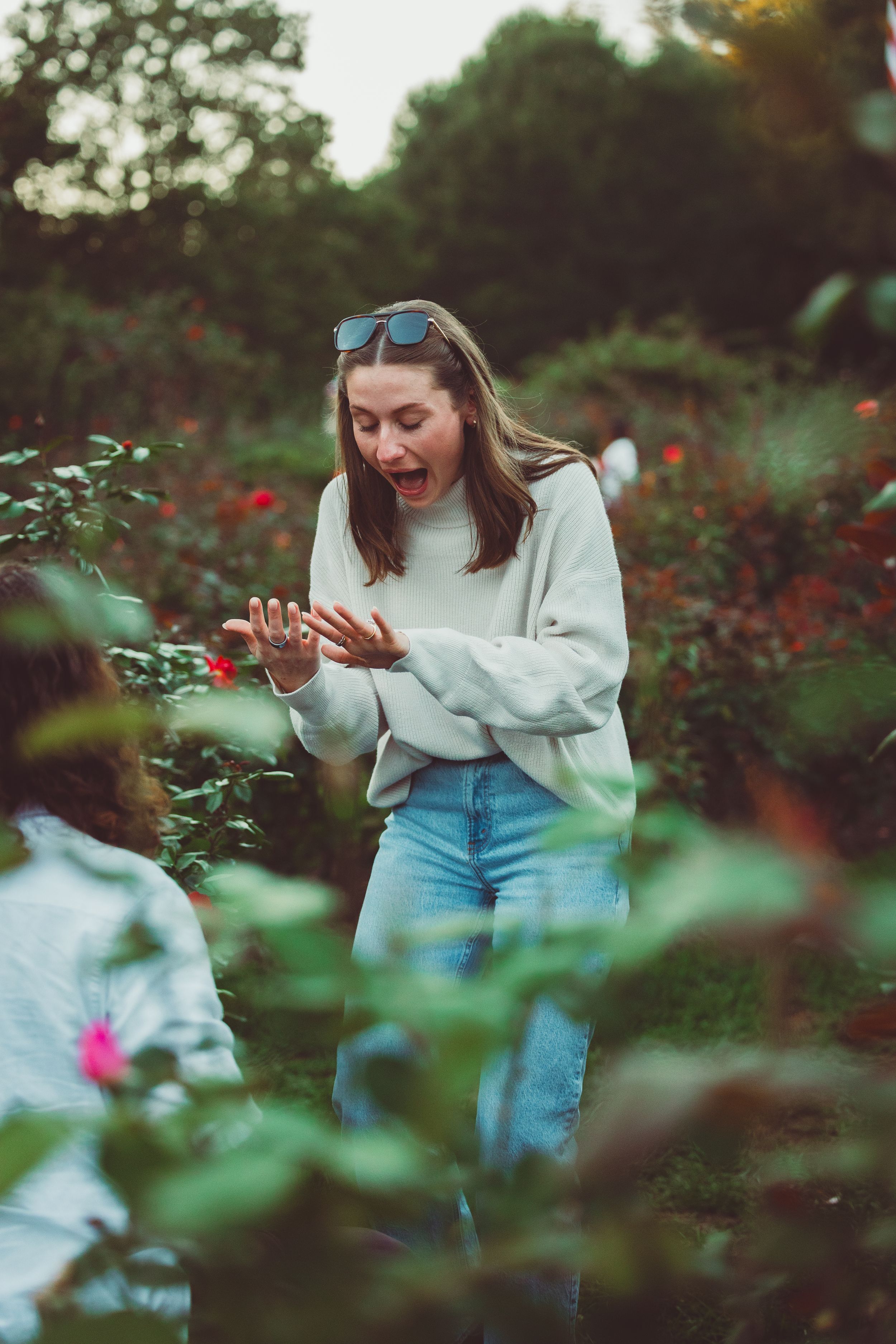 Hidden garden proposal location in Arlington Virginia