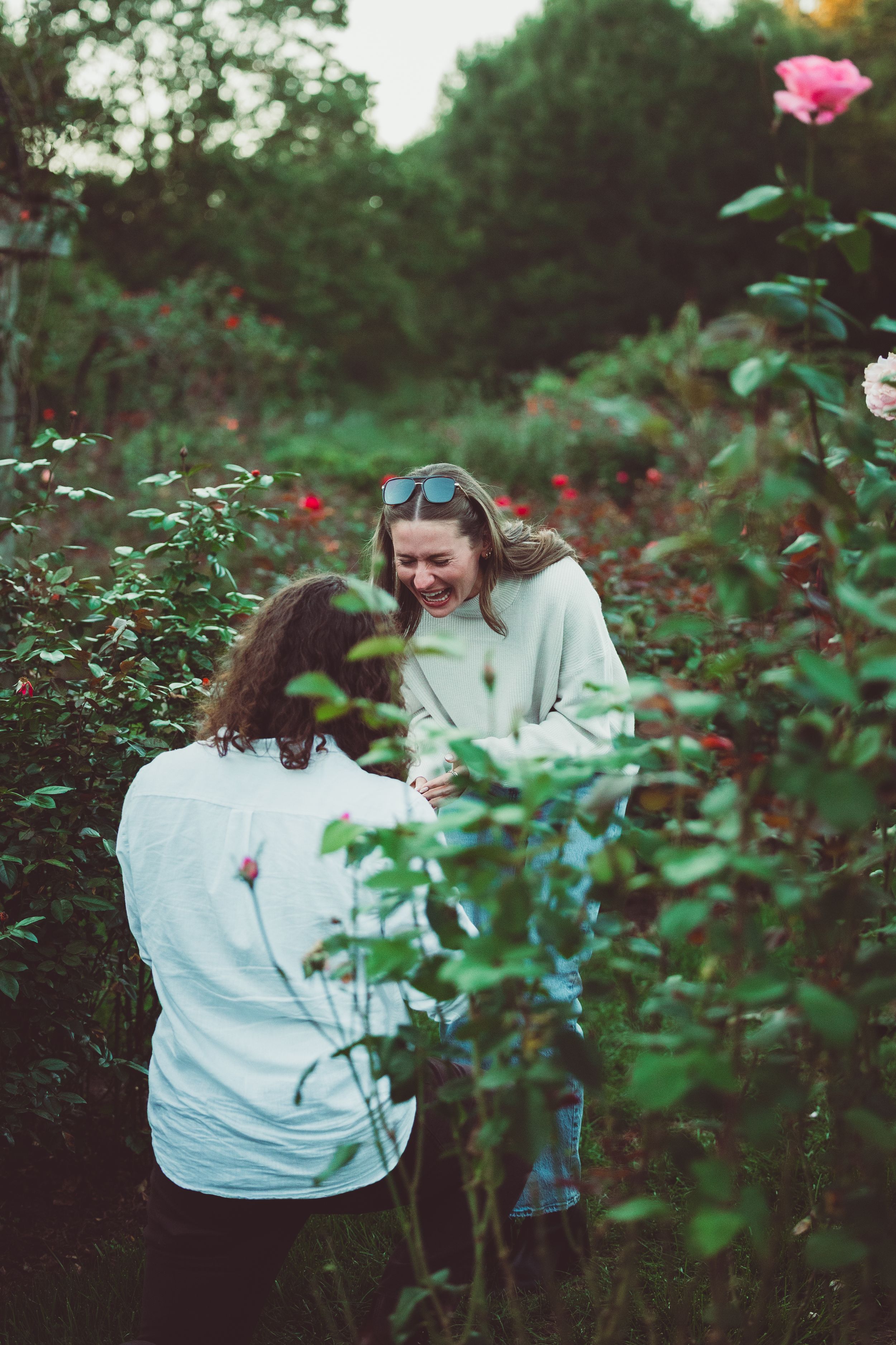 A young women laughing in a lush garden surrounded by blooming roses after her proposal at the Bon Air Rose Garden