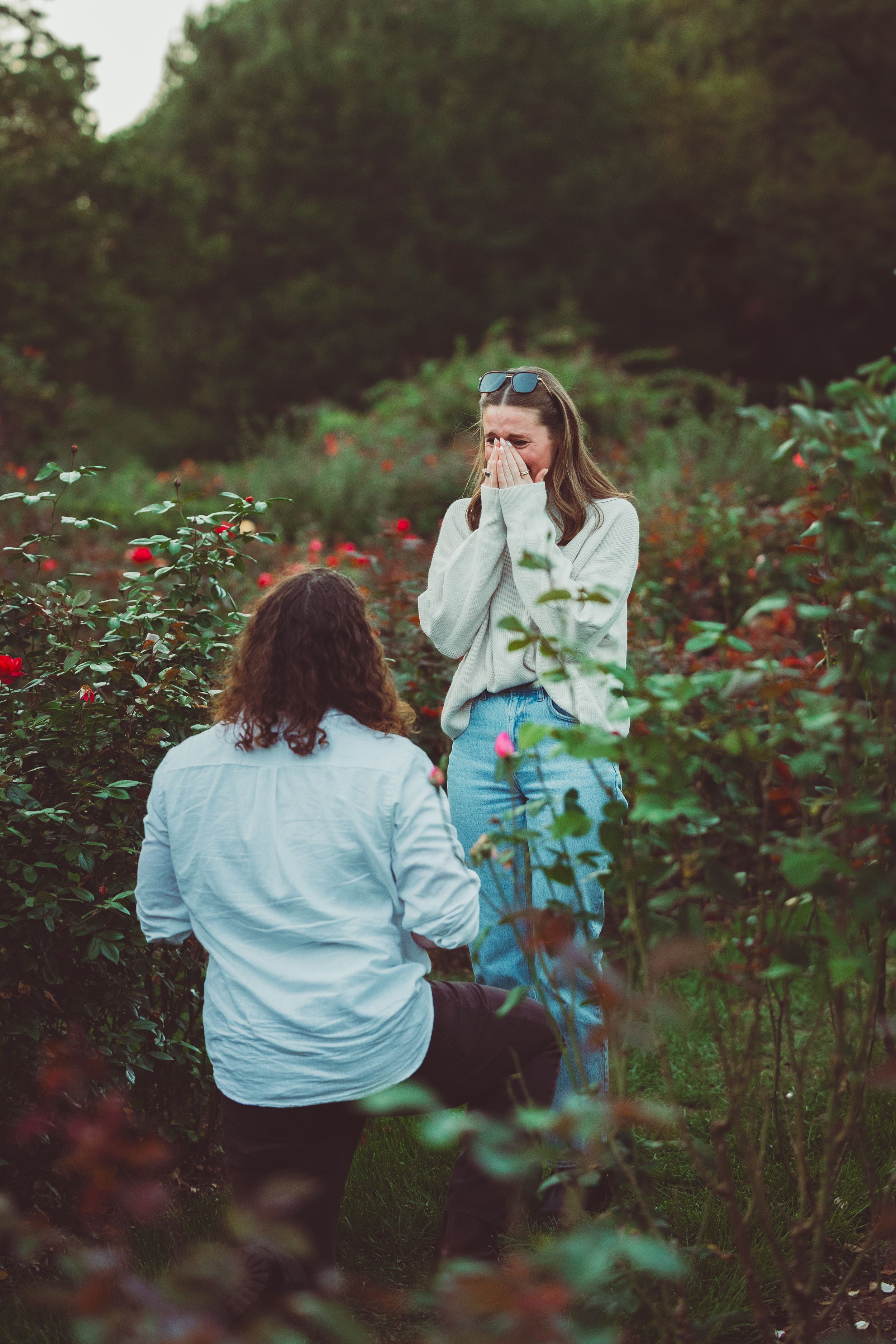 Person kneeling in rose garden proposing to surprised partner covering mouth with hands among lush greenery.