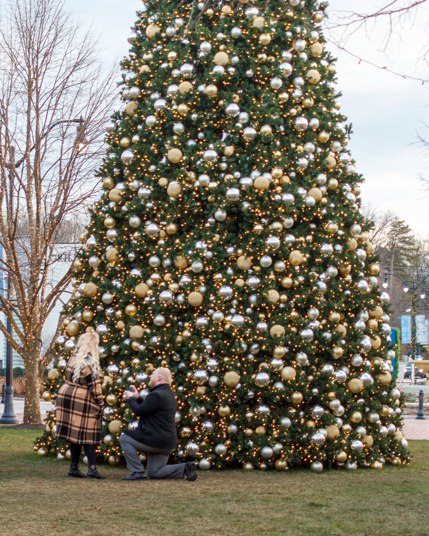 Person proposing on one knee in front of a large decorated Christmas tree with gold and silver ornaments outdoors.