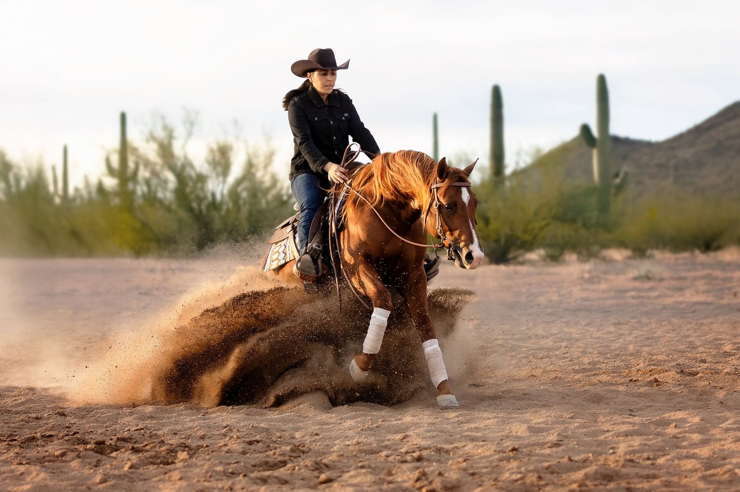 Sorrel reining horse doing a sliding stop in the Arizona desert.