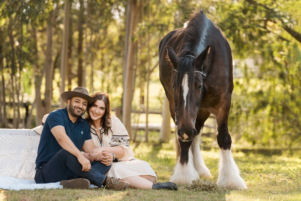 Couple sitting on grass with a tall dark brown Clydesdale horse in a sunlit forest setting in sydney