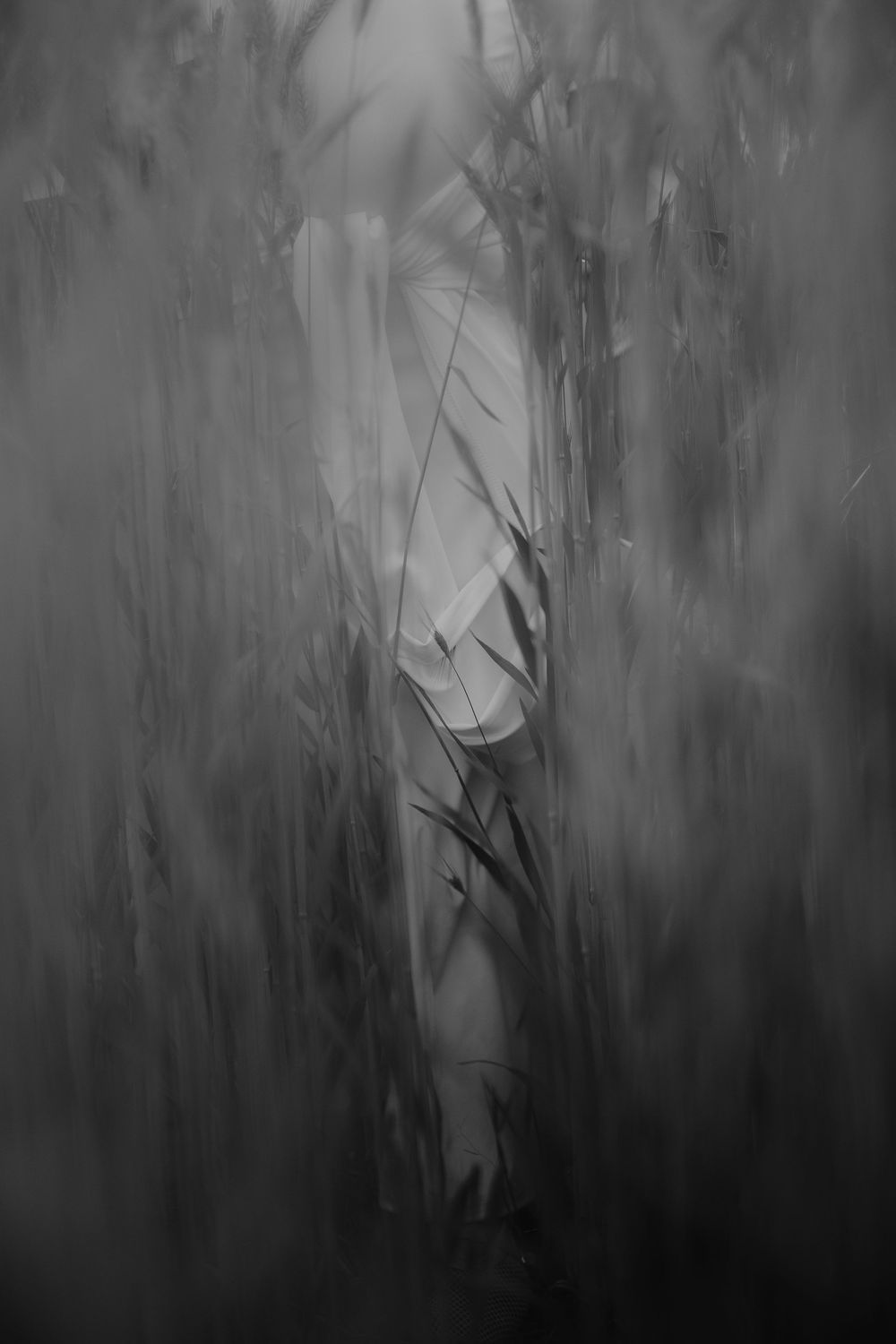 Black and white artistic photo of a pregnant woman in white dress standing among tall grass.