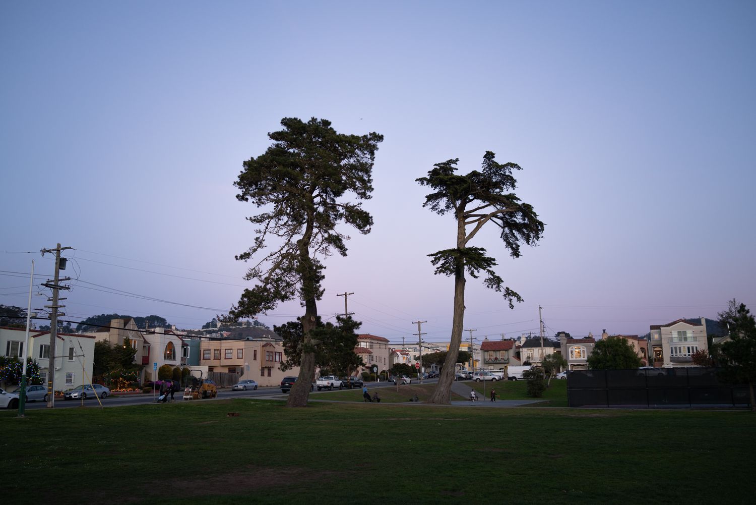 Misty San Francisco park at dusk with tall trees, green lawn, and residential buildings under overcast skies.