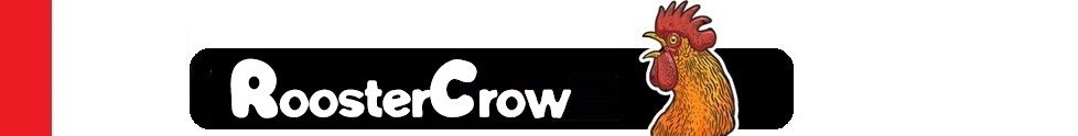 Brand logo for Biz-Test by How showing a green cartoon mascot character holding a flag against red background.