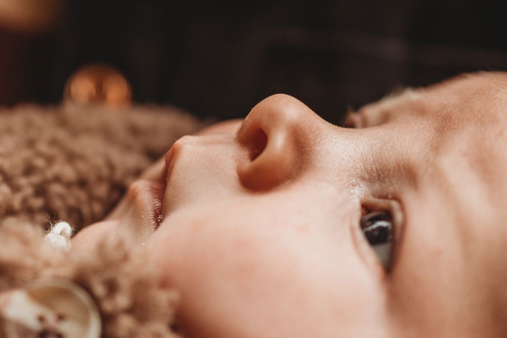 New Forest newborn photographer