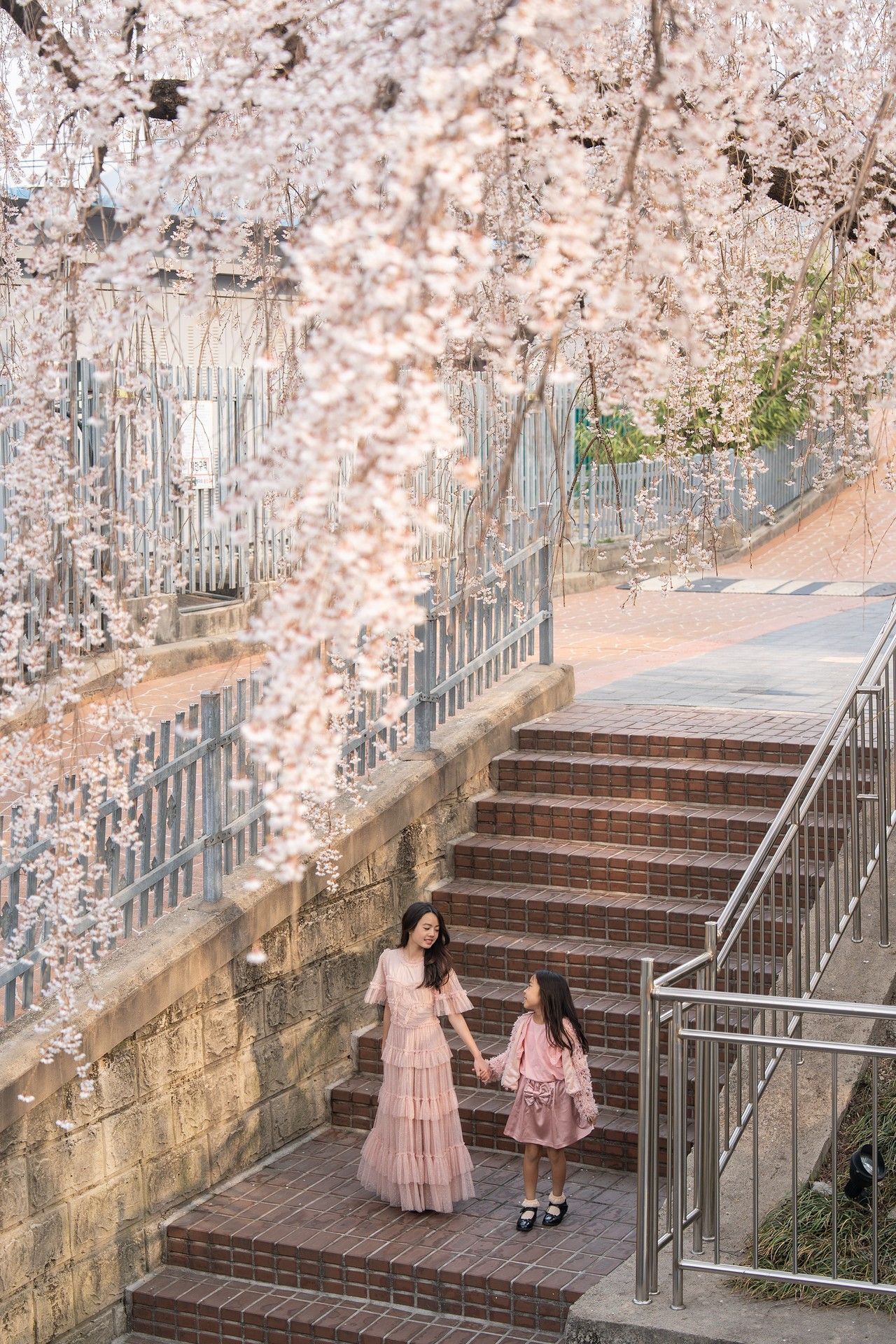 Mother and daughter in pink dresses holding hands under blooming cherry blossom trees on brick steps.