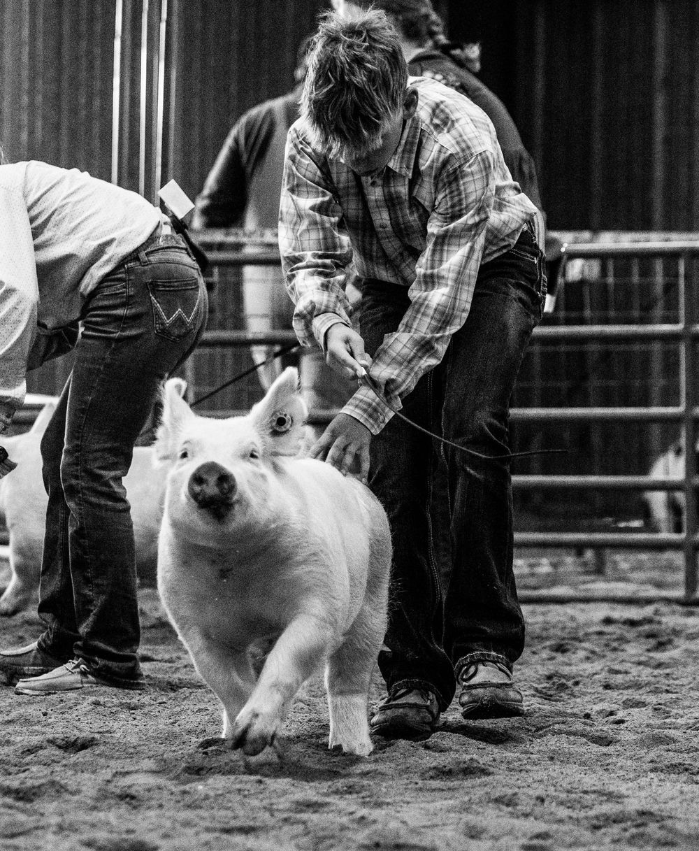 Photo from Haskell County Spring Show