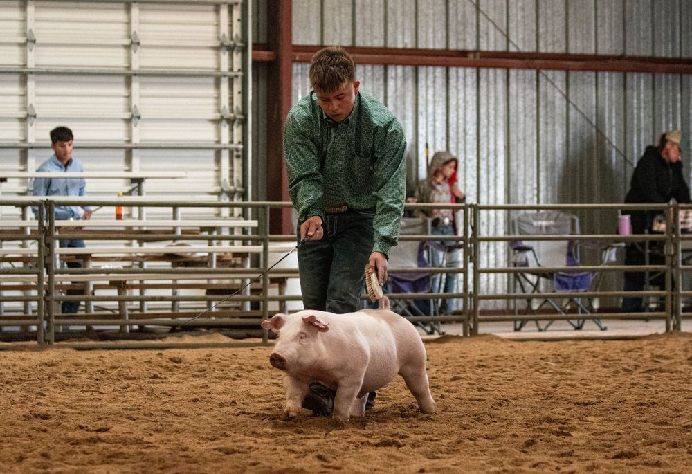 Photo from Haskell County Spring Show