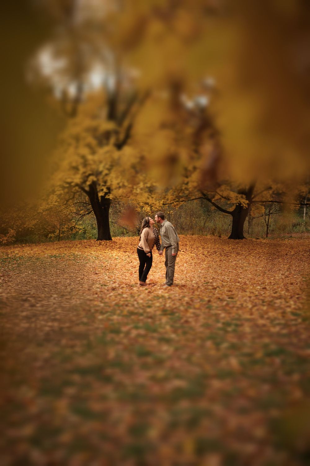 Cozy fall couple engagement shoot taken in Spokane Washington during the fall at Finch Arboretum by Jessica Rae Photography.