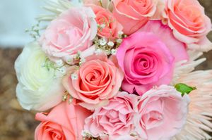 Romantic bouquet of pink and coral roses with baby's breath flowers.