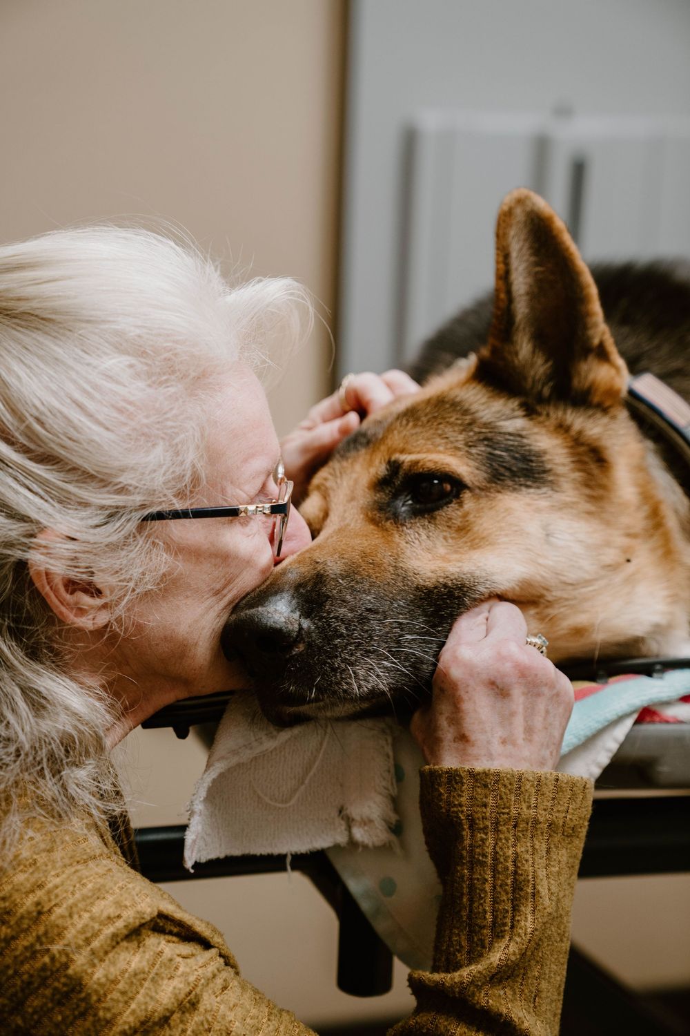 Elderly woman with white hair and glasses kissing a German Shepherd dog while gently holding its face.