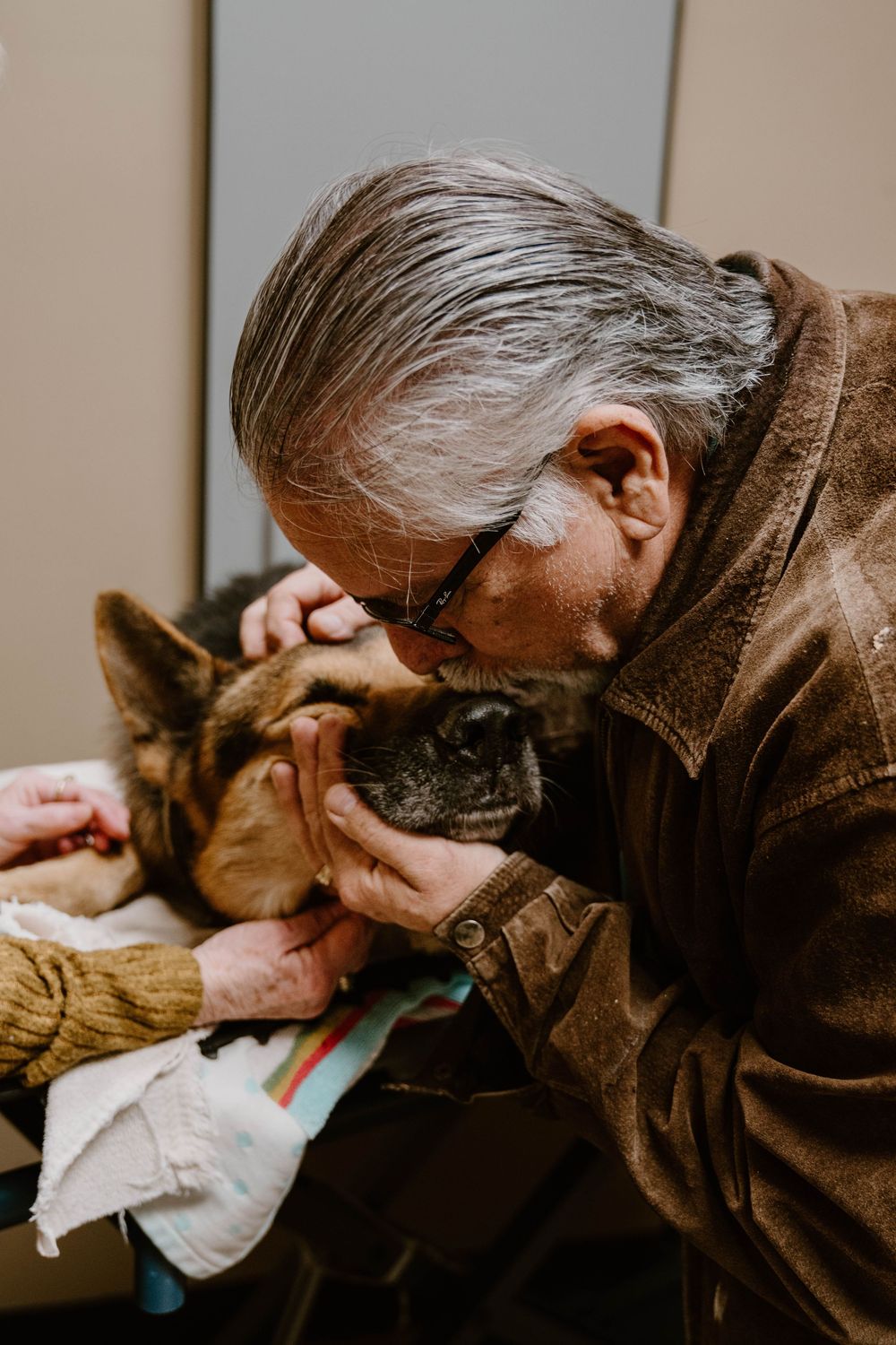 Elderly person with glasses tenderly kissing a German Shepherd dog on an exam table.