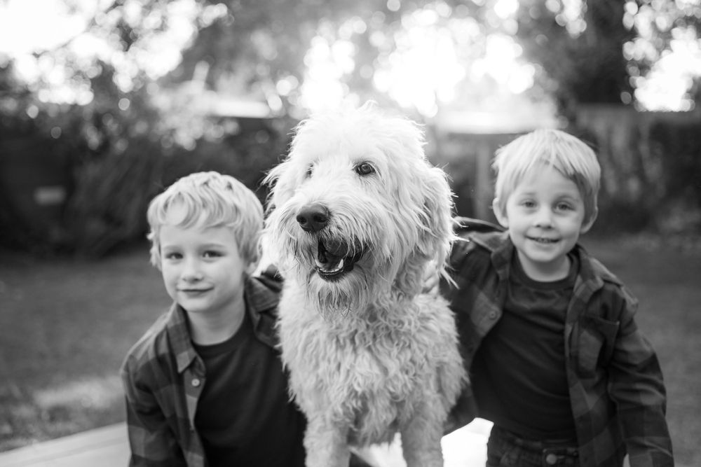 Black and white portrait of two children with large fluffy white dog between them.