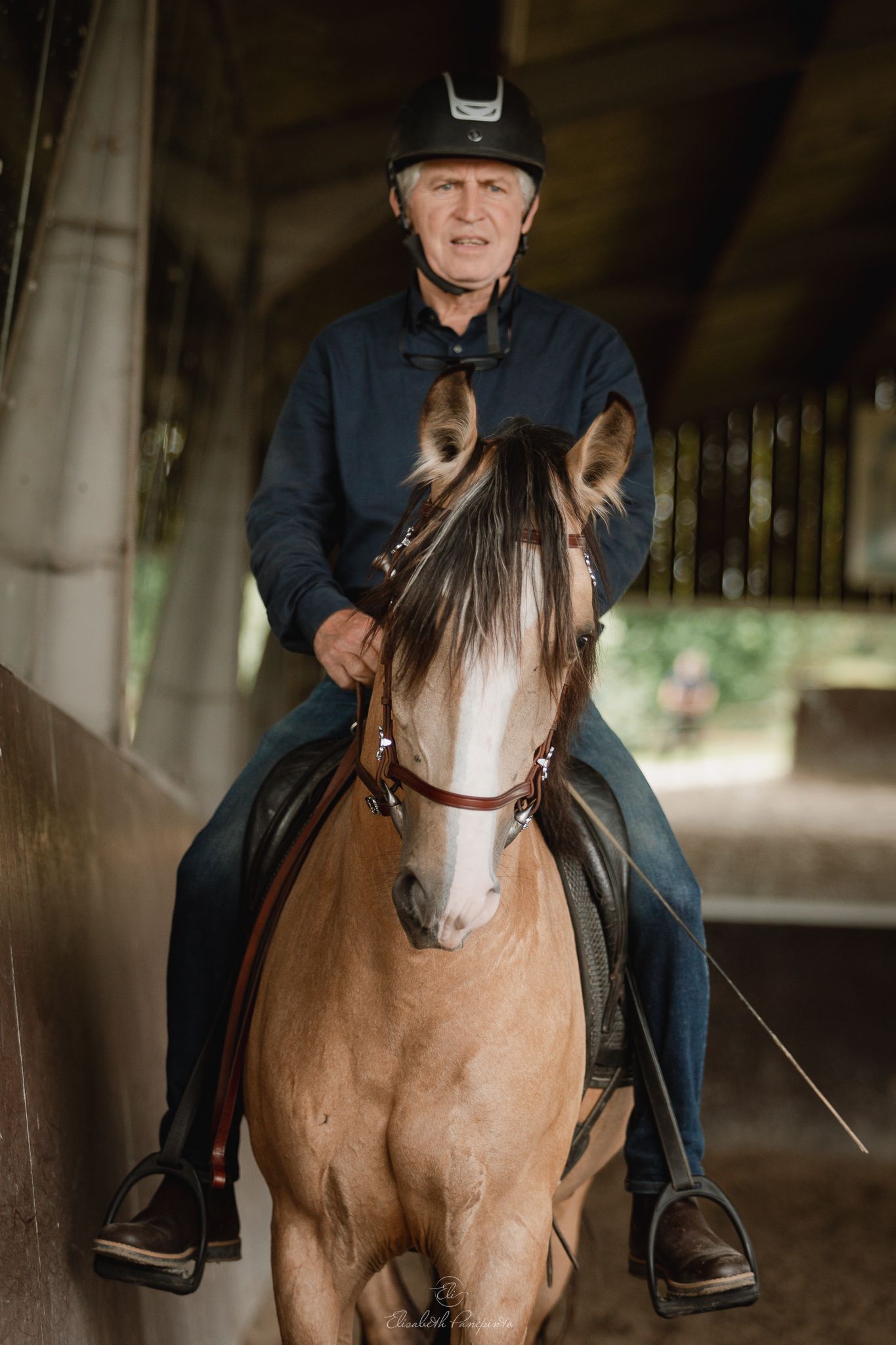 Photographe famille et chien Belgique.  Photographe canin et équin. Stage équestre, chevaux de dressage. Photographie