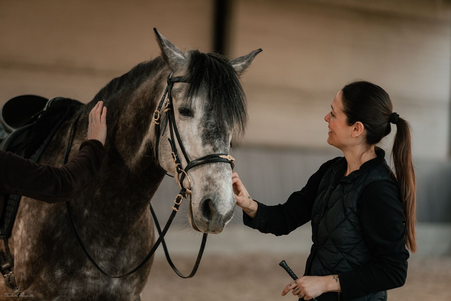 Photographe famille et chien Belgique.  Photographe canin et équin. Stage équestre, chevaux de dressage. Photographie