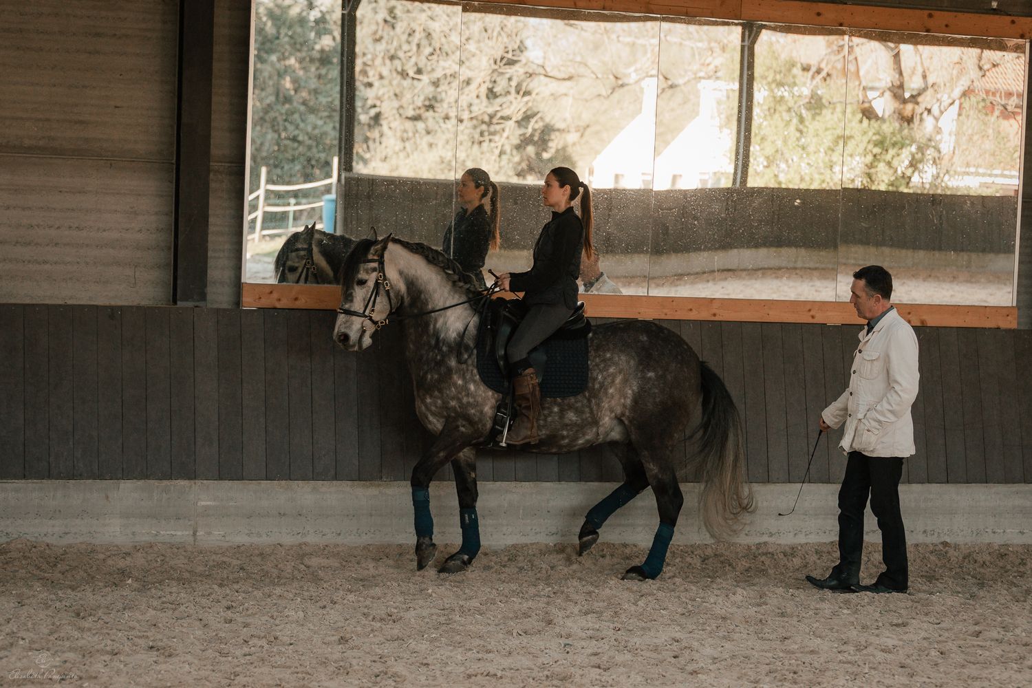 Photographe famille et chien Belgique.  Photographe canin et équin. Stage équestre, chevaux de dressage. Photographie