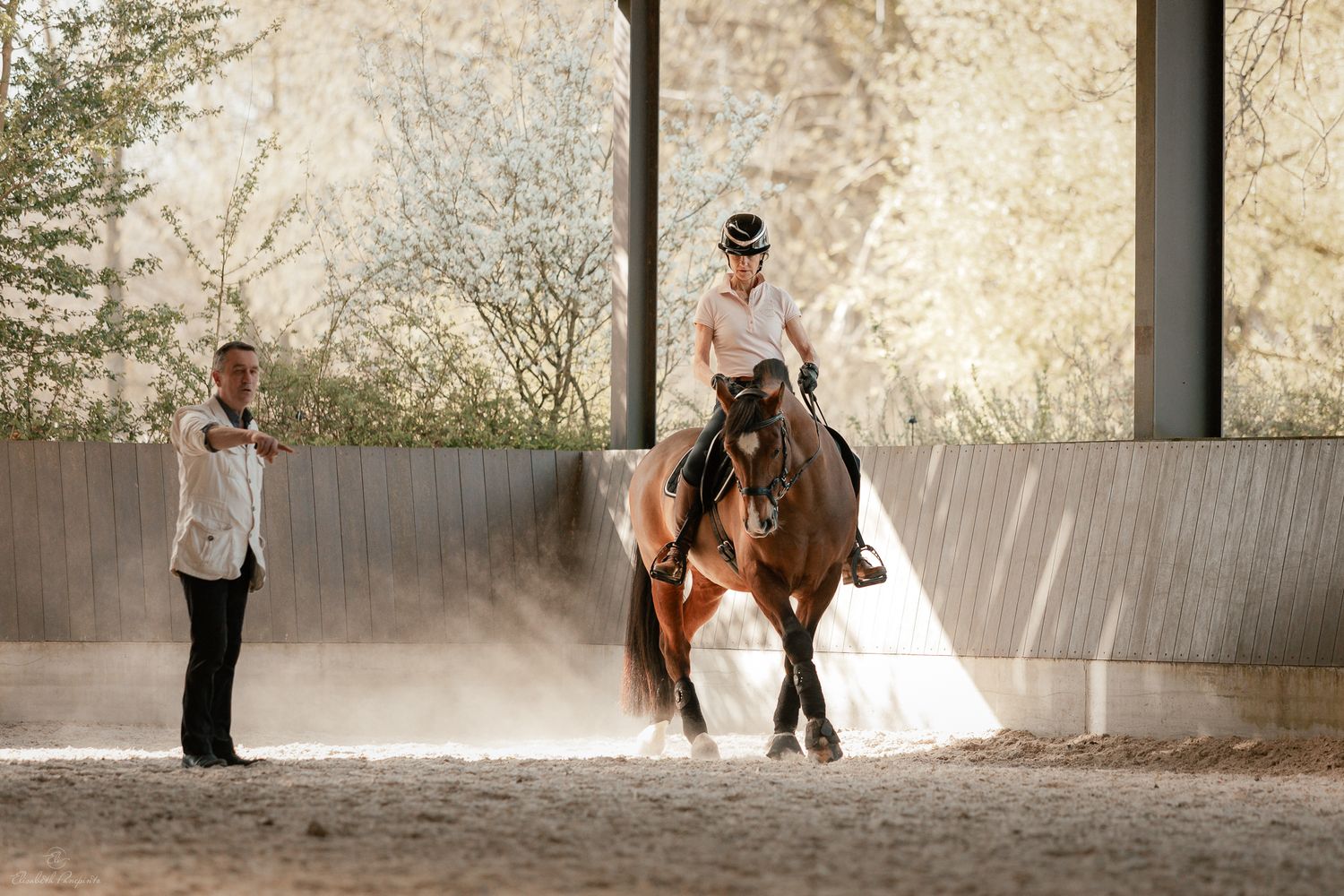 Photographe famille et chien Belgique.  Photographe canin et équin. Stage équestre, chevaux de dressage. Photographie