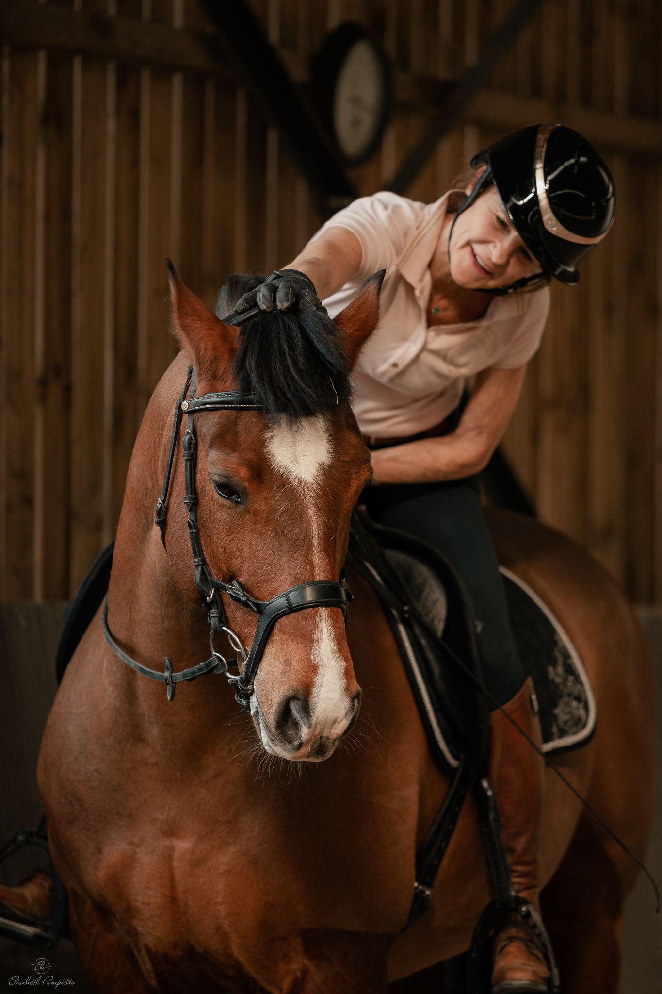 Photographe famille et chien Belgique.  Photographe canin et équin. Stage équestre, chevaux de dressage. Photographie