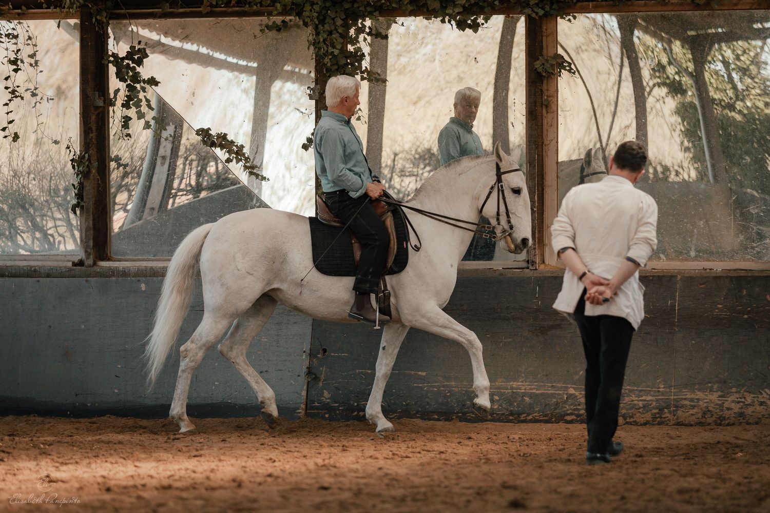 Reportage photo stage équestre dressage équitation en Belgique. Photographe équin