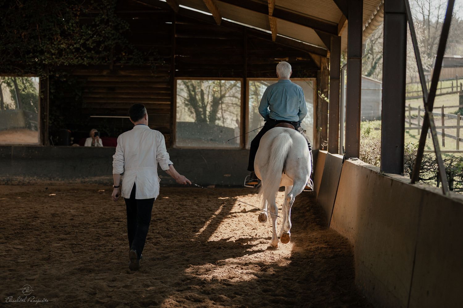 Reportage photo stage équestre dressage équitation en Belgique. Photographe équin